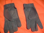 gantspaumes