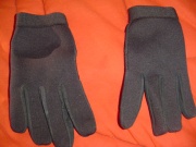 gantsdos